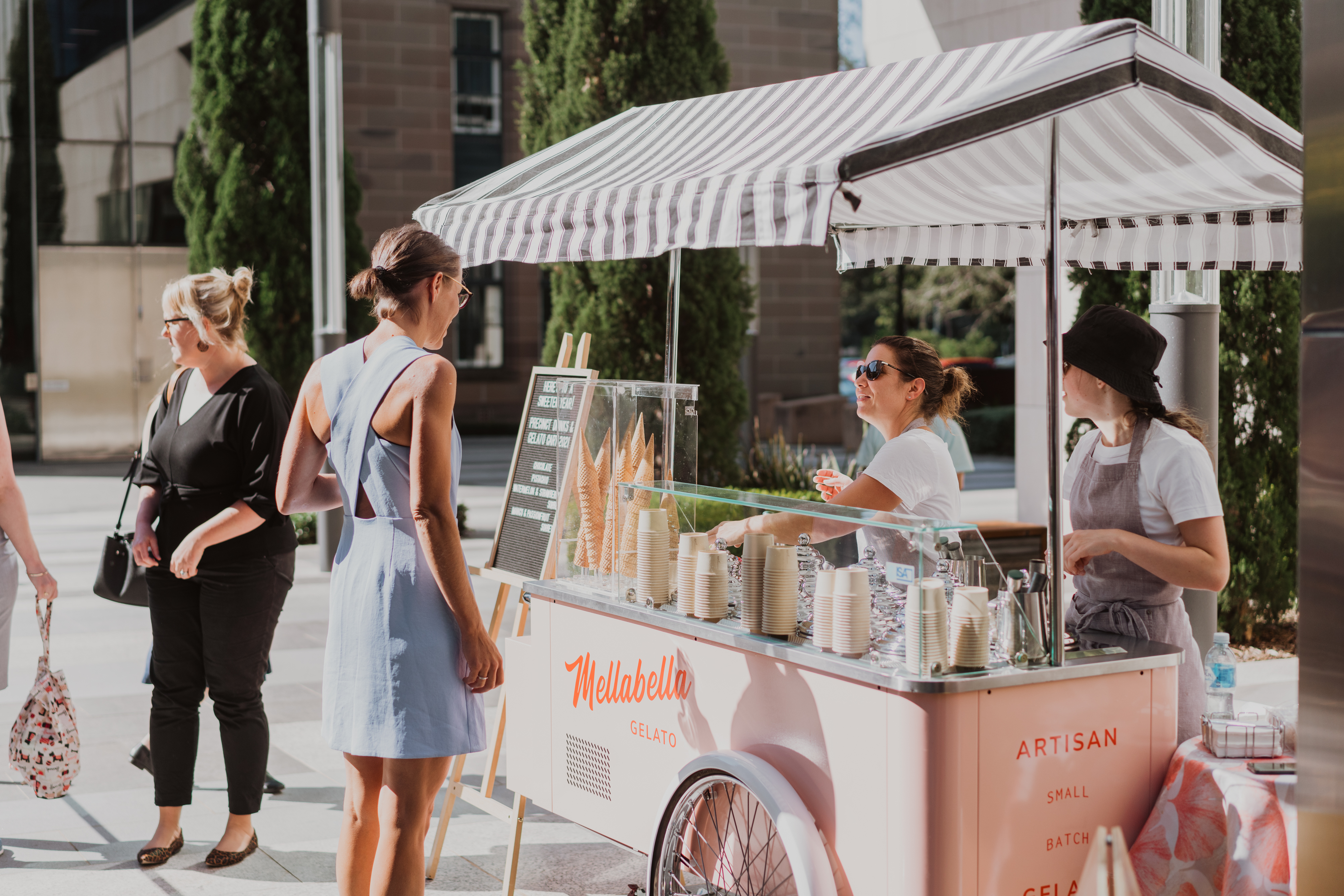 Image for Tis the Season