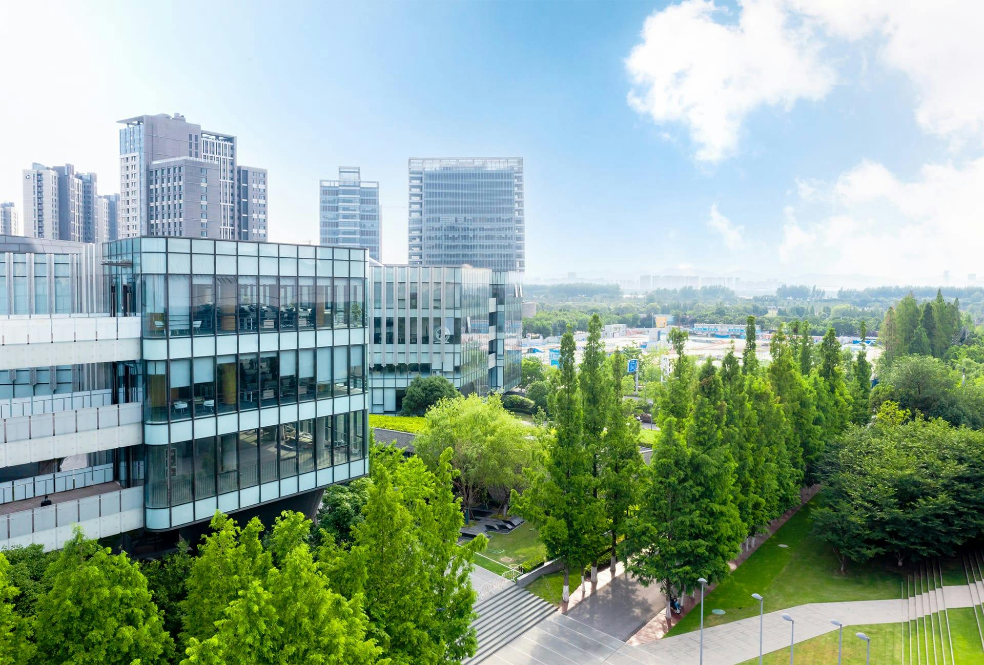 trees are in the foreground of a city with a few buildings