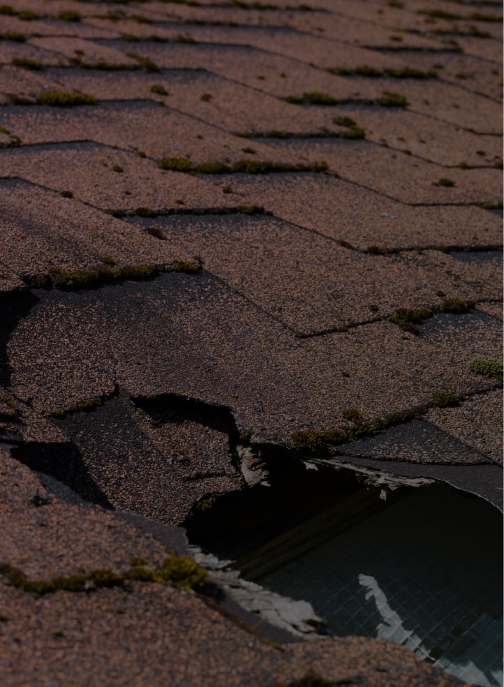 damaged roof shingles