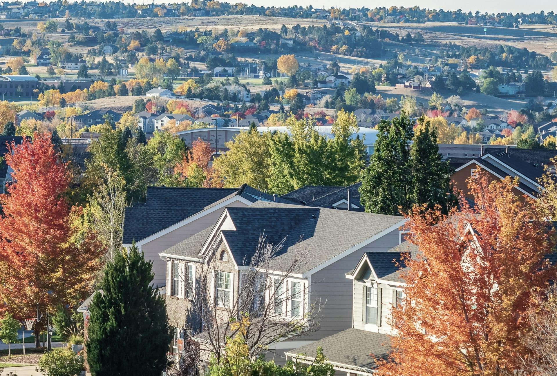 trees are in the foreground of a residential neighborhood with a hillside in the background