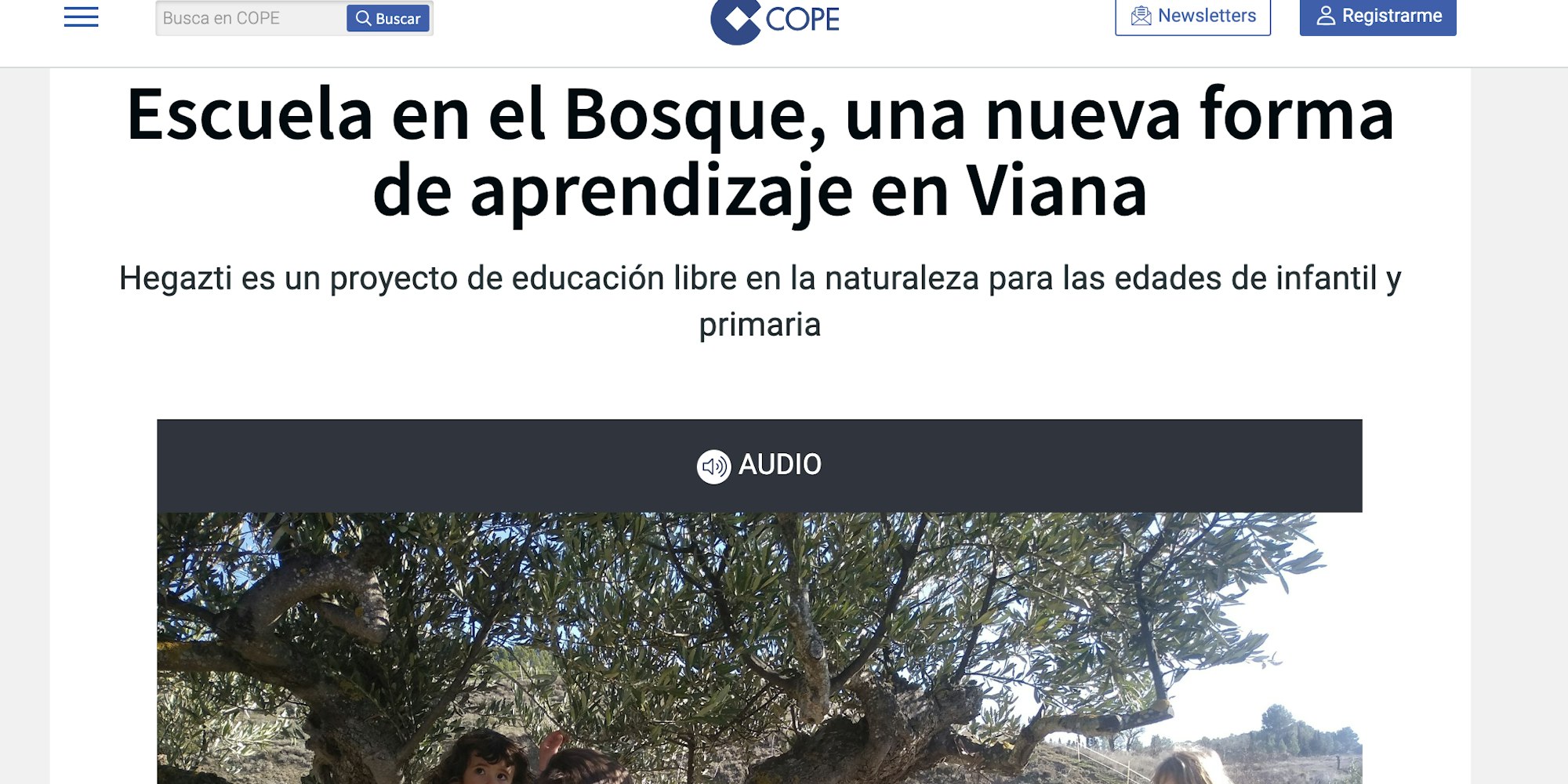 Cover Image for Viana y su escuela bosque: Hegazti