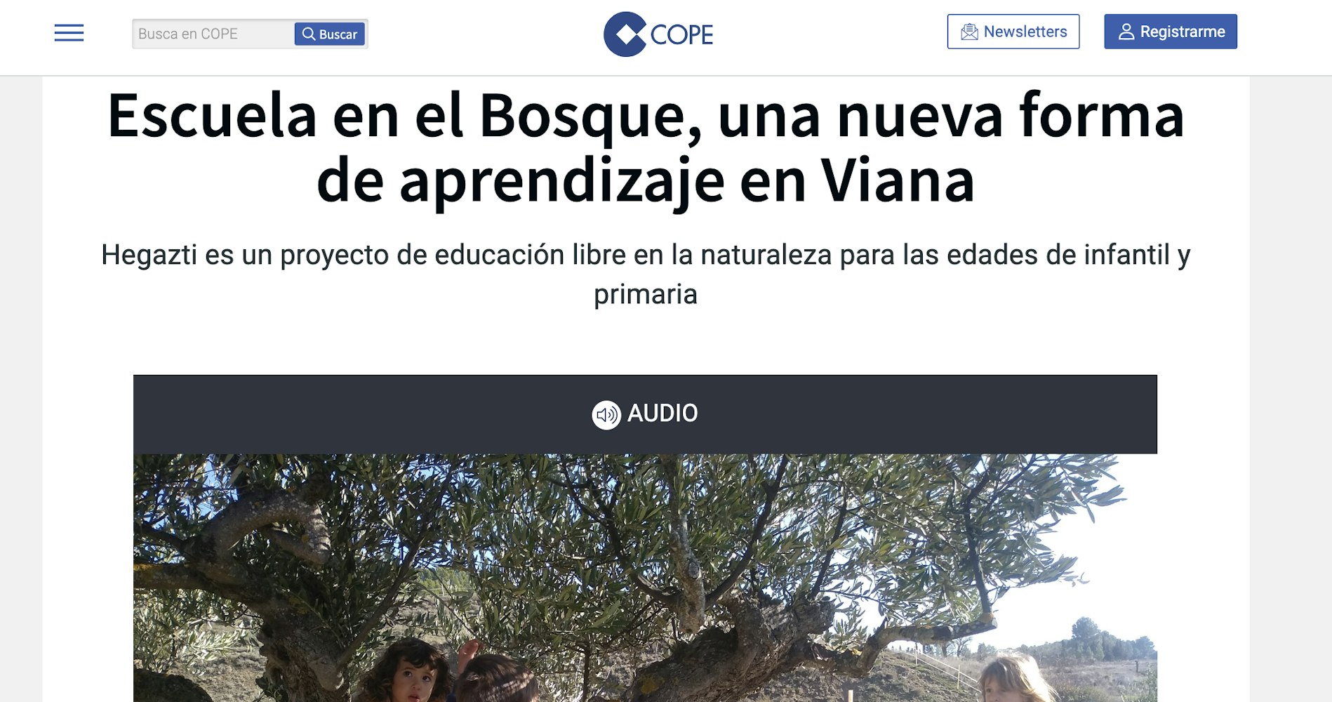 Cover Image for Viana y su escuela bosque: Hegazti