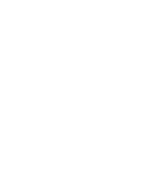 Connector Icon