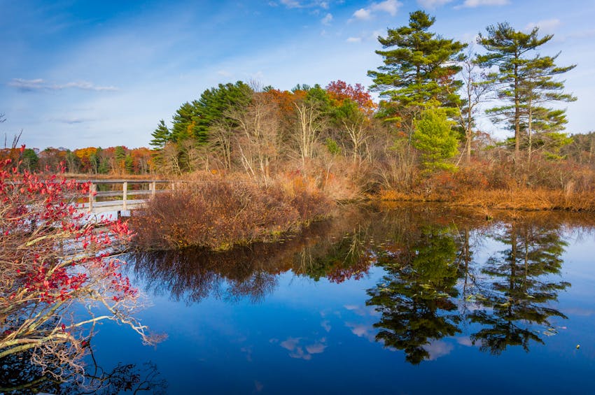 A pond with colorful trees