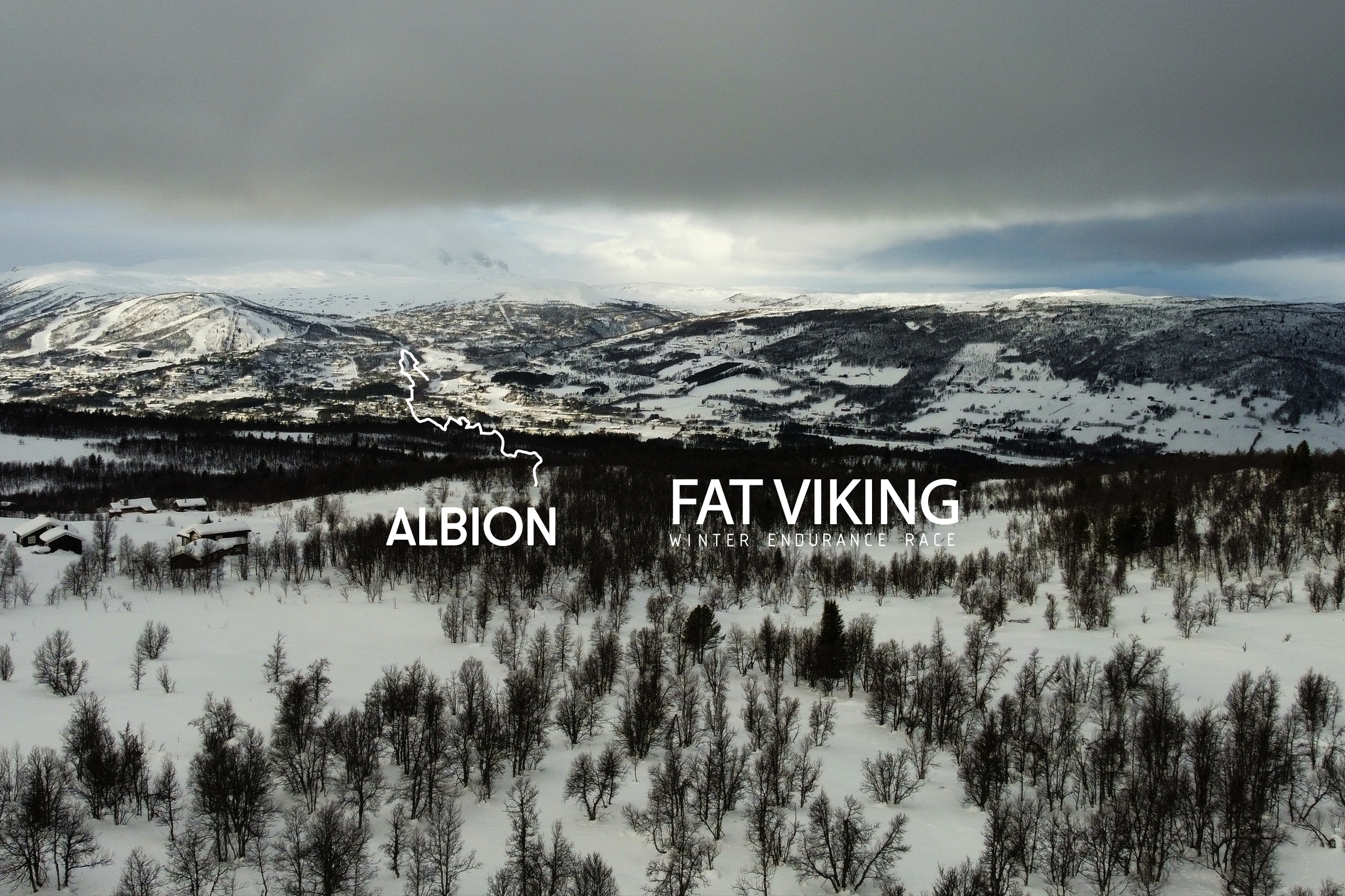 Albion fat best sale bike festival 2019