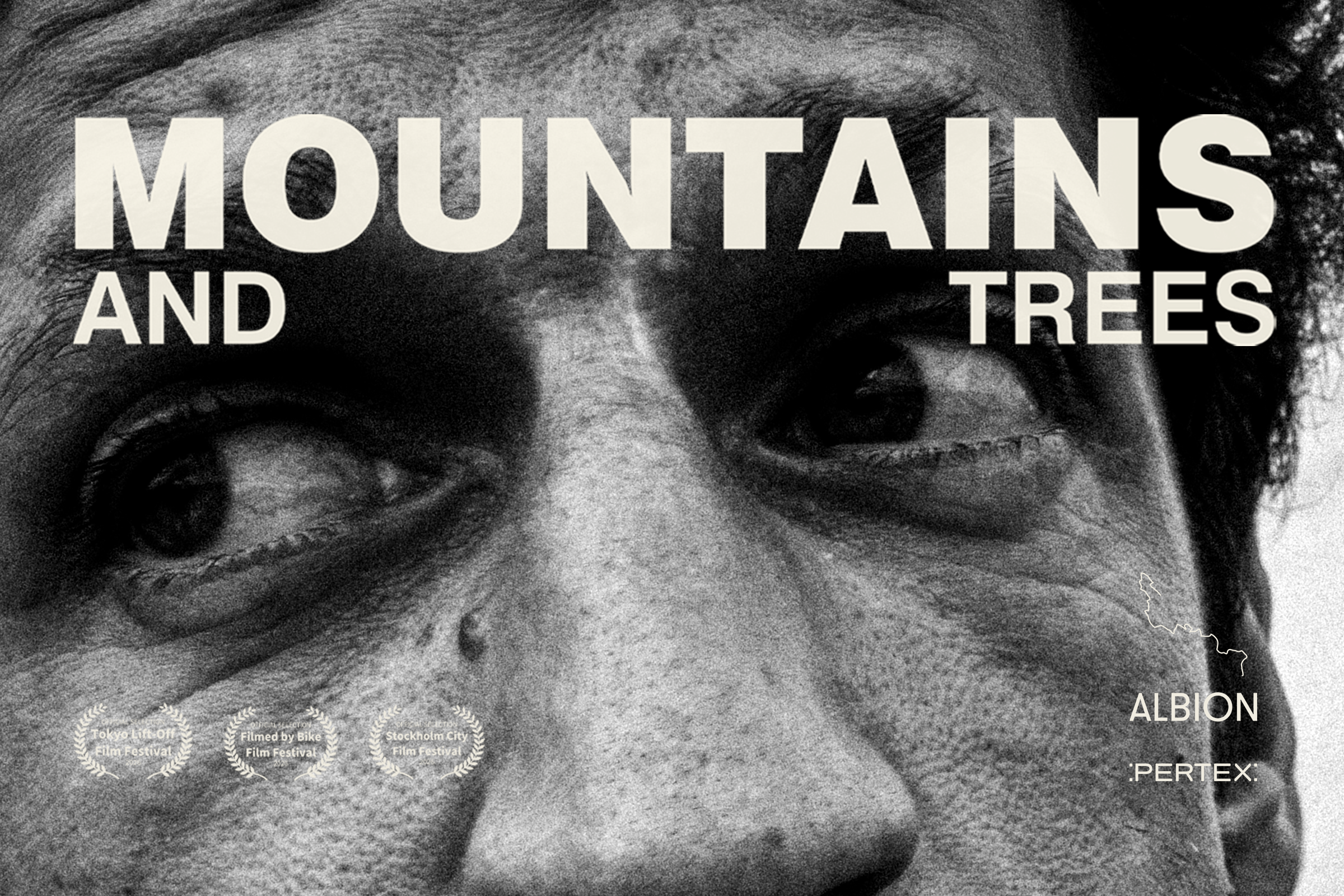 MOUNTAINS AND TREES