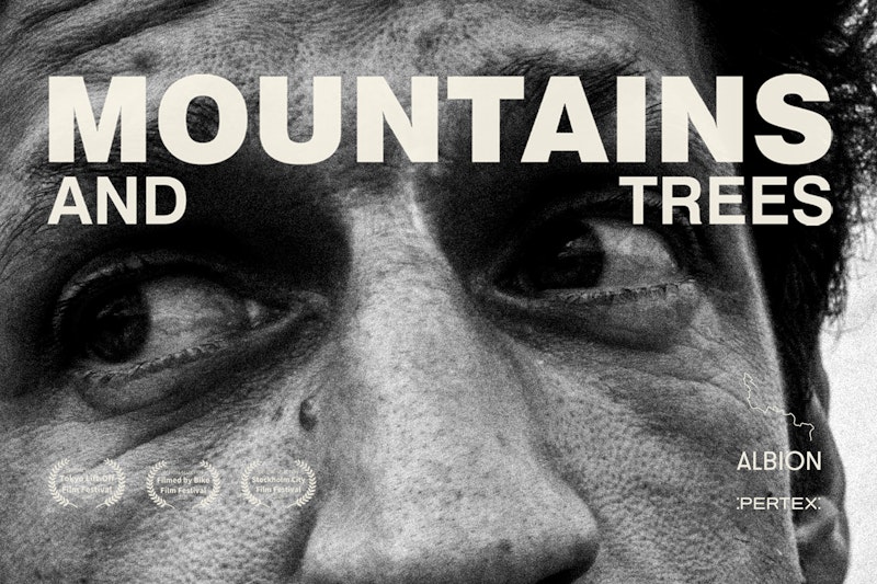 MOUNTAINS AND TREES