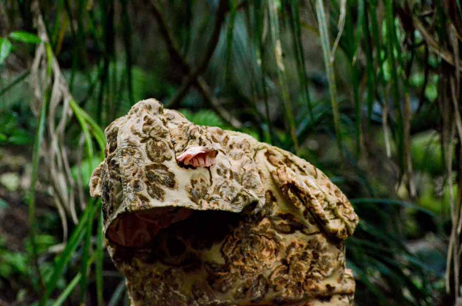 Catherine Bagnall. El Barroco de Aotearoa, MUCA