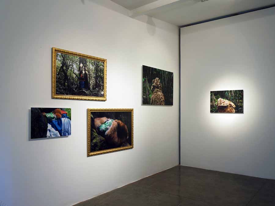 Catherine Bagnall. El Barroco de Aotearoa, MUCA