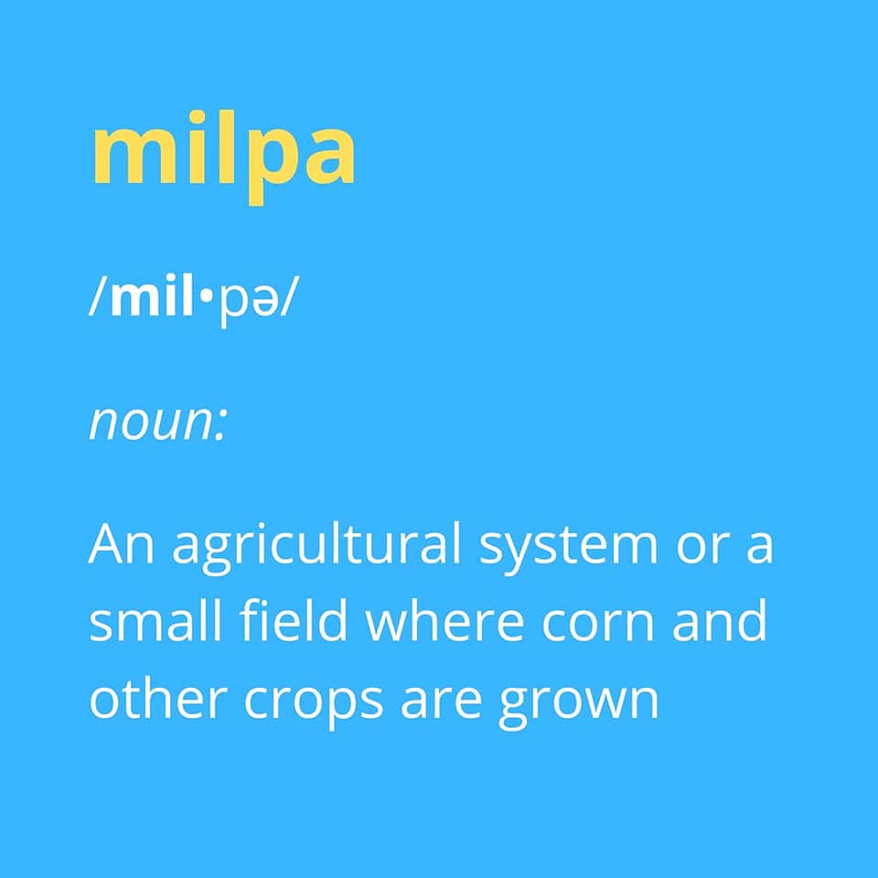 De la Milpa a la Mesa 2021