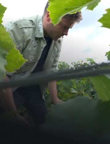 Luxury champagne in the making