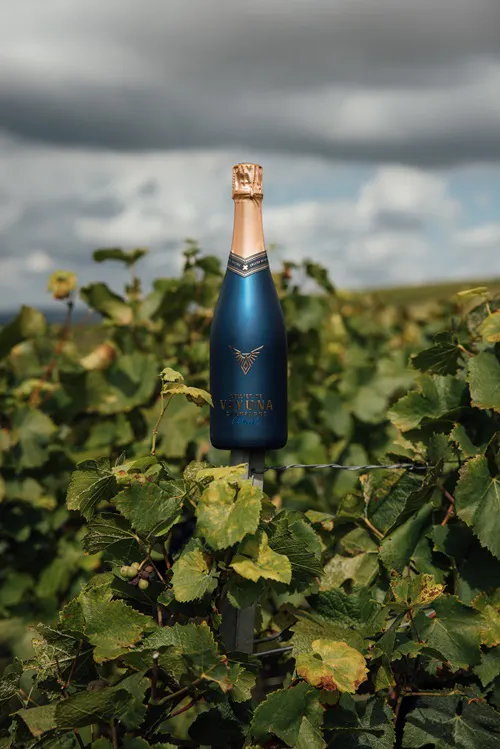 Luxury Champagne bottle