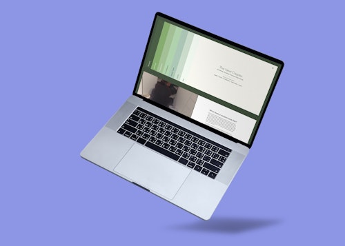 The Next Chapter Decluttering website project, Lion & Lamb