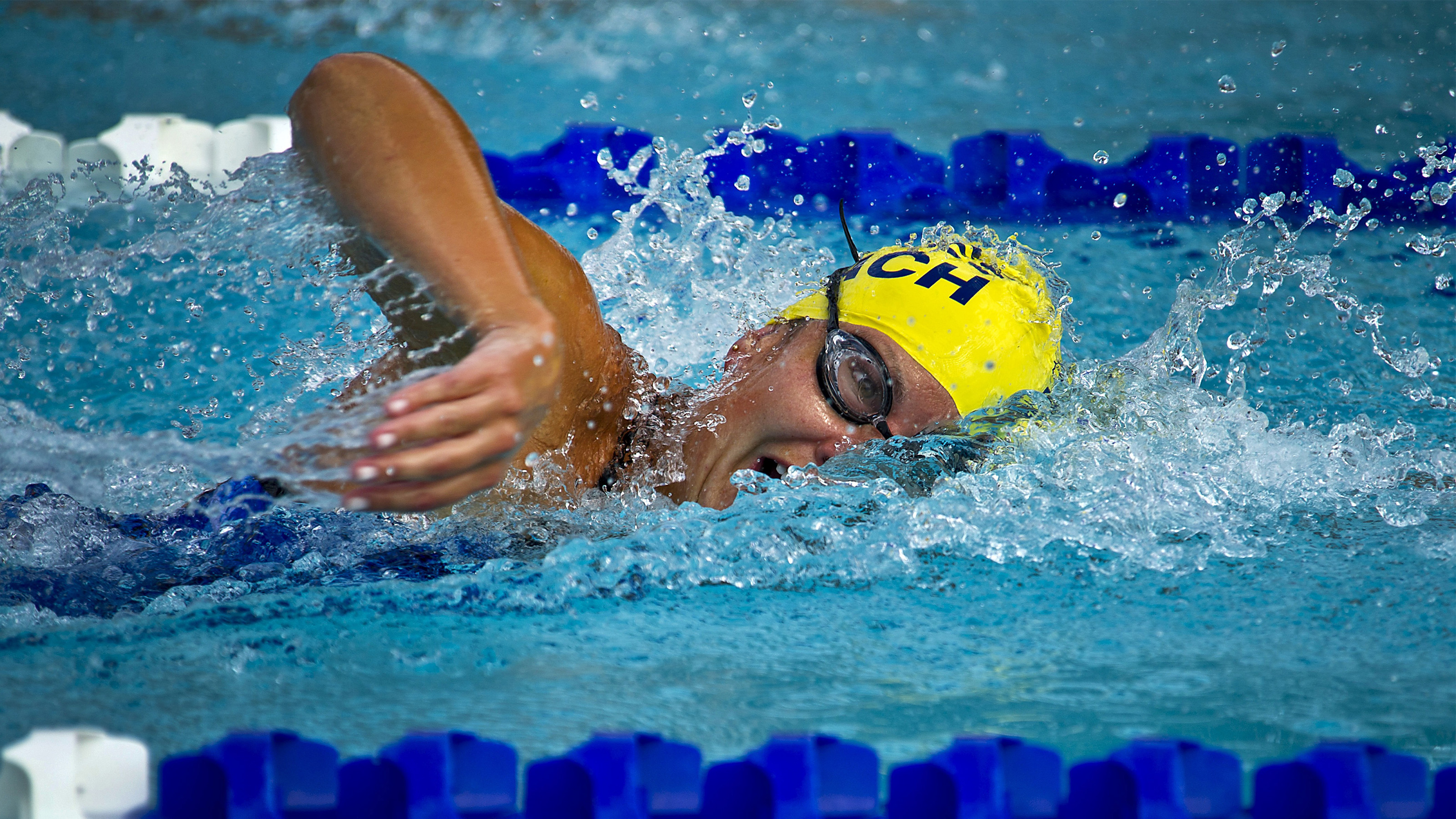 Image for Stromlo Forest Park swimming pool design