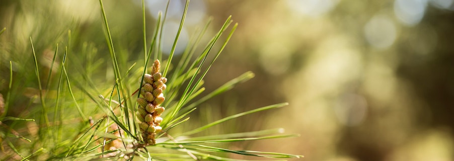 Image for Disclaimer