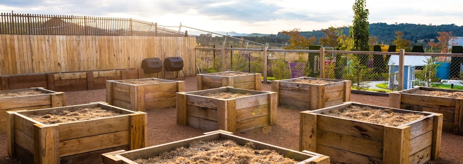 Image for Denman Prospect temporary community garden