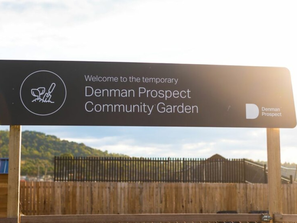 Image for Temporary Denman Prospect community garden