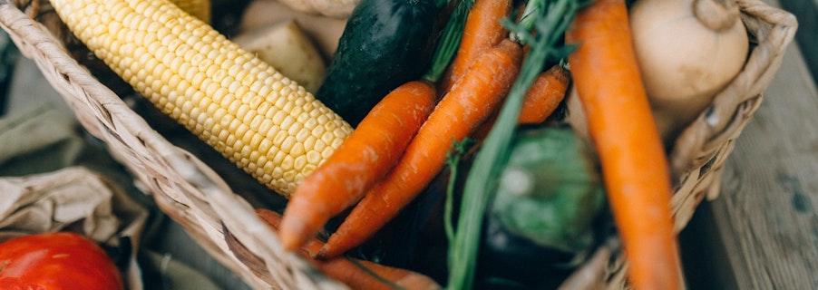 Image for Backyard Blitz: On the topic of veggies