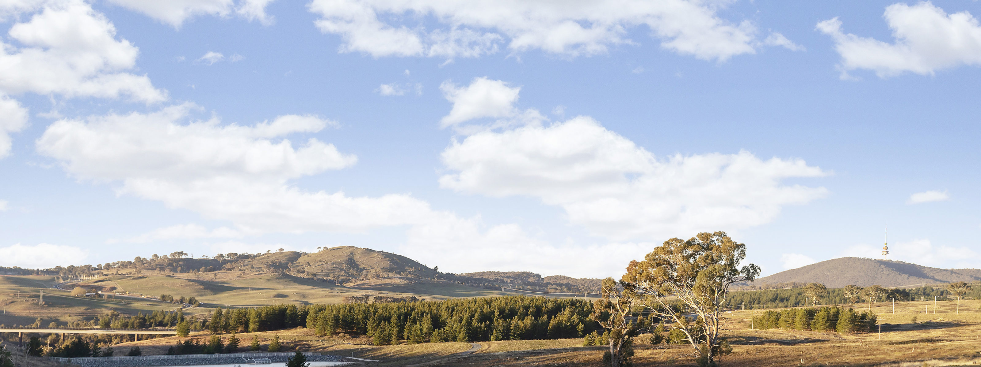 Image for We wanted to know where to walk around Denman, so we asked the local chiropractor