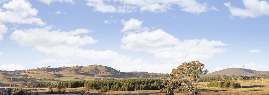 Image for We wanted to know where to walk around Denman, so we asked the local chiropractor