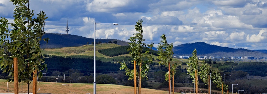 Image for Denman Prospect VR Experience