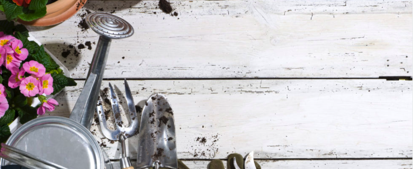 Image for 5 ways to prepare your garden for Spring