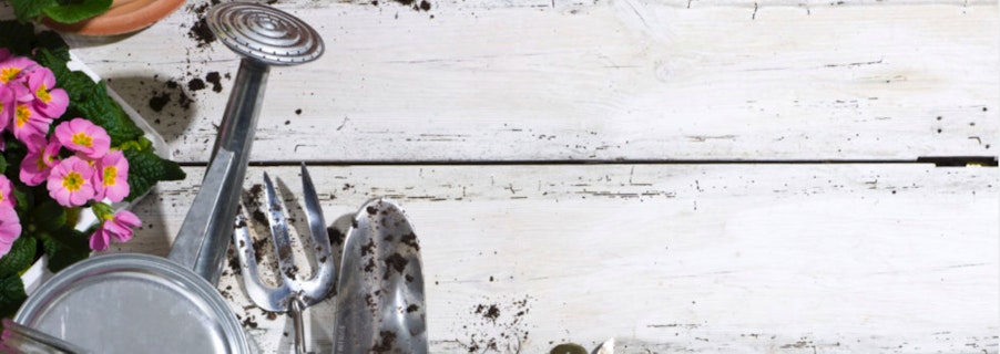 Image for 5 ways to prepare your garden for Spring