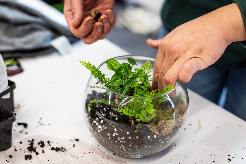 Image for DIY herb garden workshop at Denman Village Community Centre