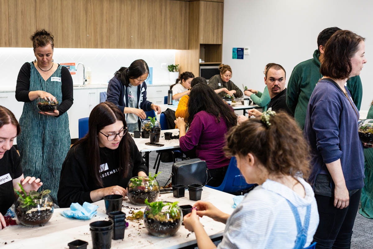 Image for WIN tickets to this weekend's DIY Herb Garden Workshop!