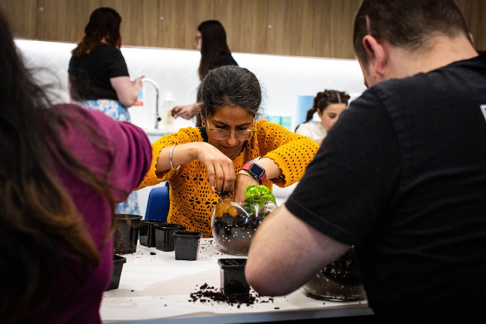 Image for DIY herb garden workshop at Denman Village Community Centre
