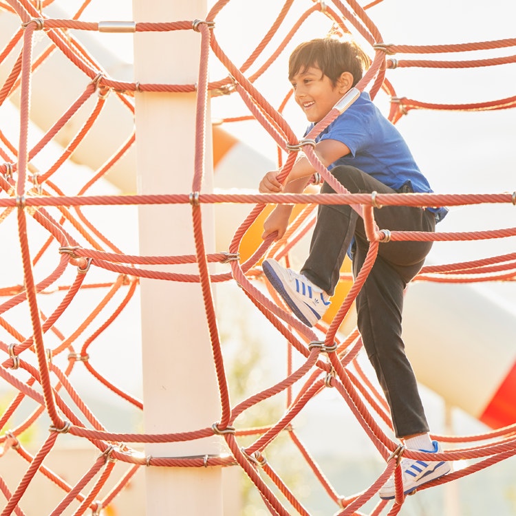 Image for Climbing nets at Ridgeline Park