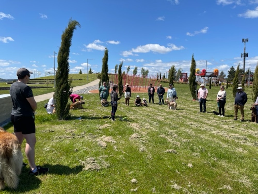 Image for Paws and Play in Denman Prospect
