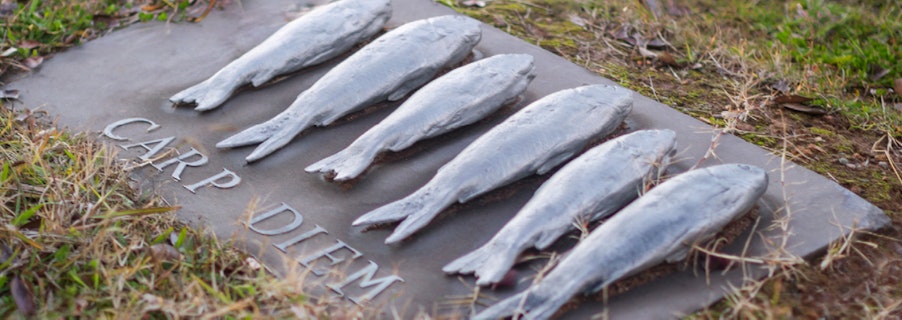 Carpe Diem by Ros Lemoh Image for Carp Diem by Rosalind Lemoh