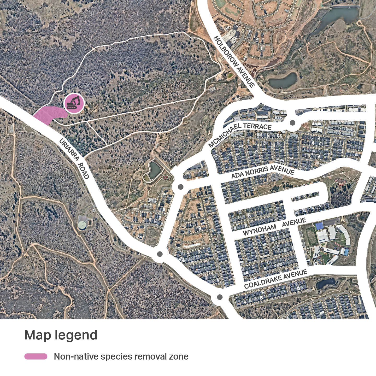 Image for Pine Tree Removal in Stromlo Reach