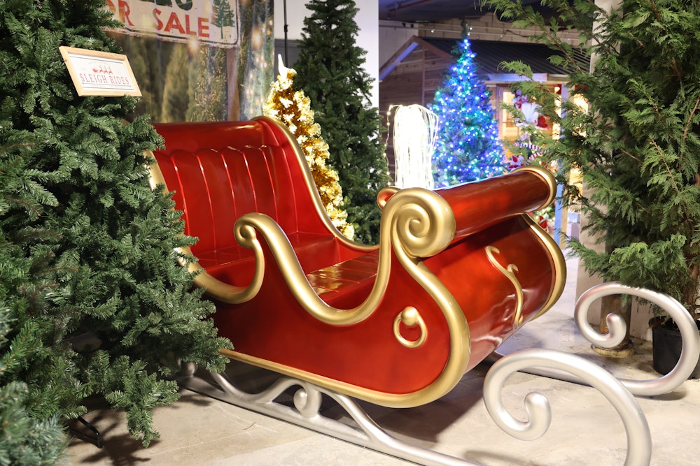 Image for Sleigh Rides