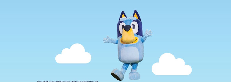 Image for Bluey's Gallery Wall