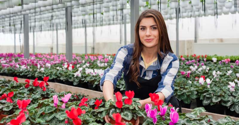young female florist tends to flowers in greenhouse