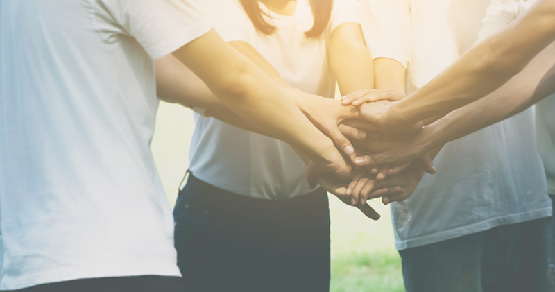 employees put hands together