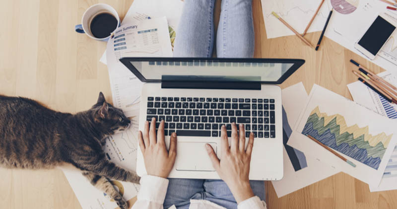 woman working from home on laptop with cat