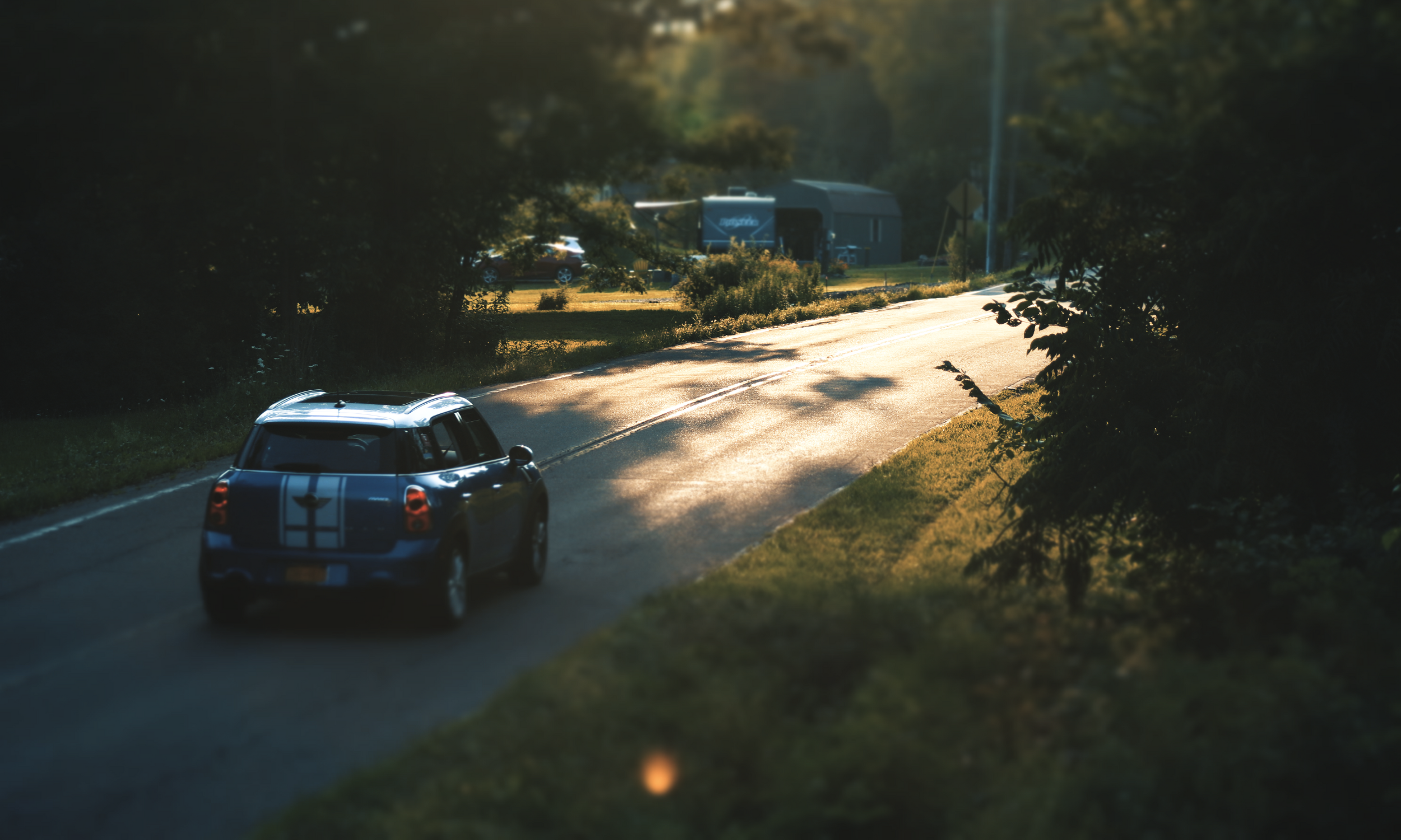 car mini cooper on road with greenery around