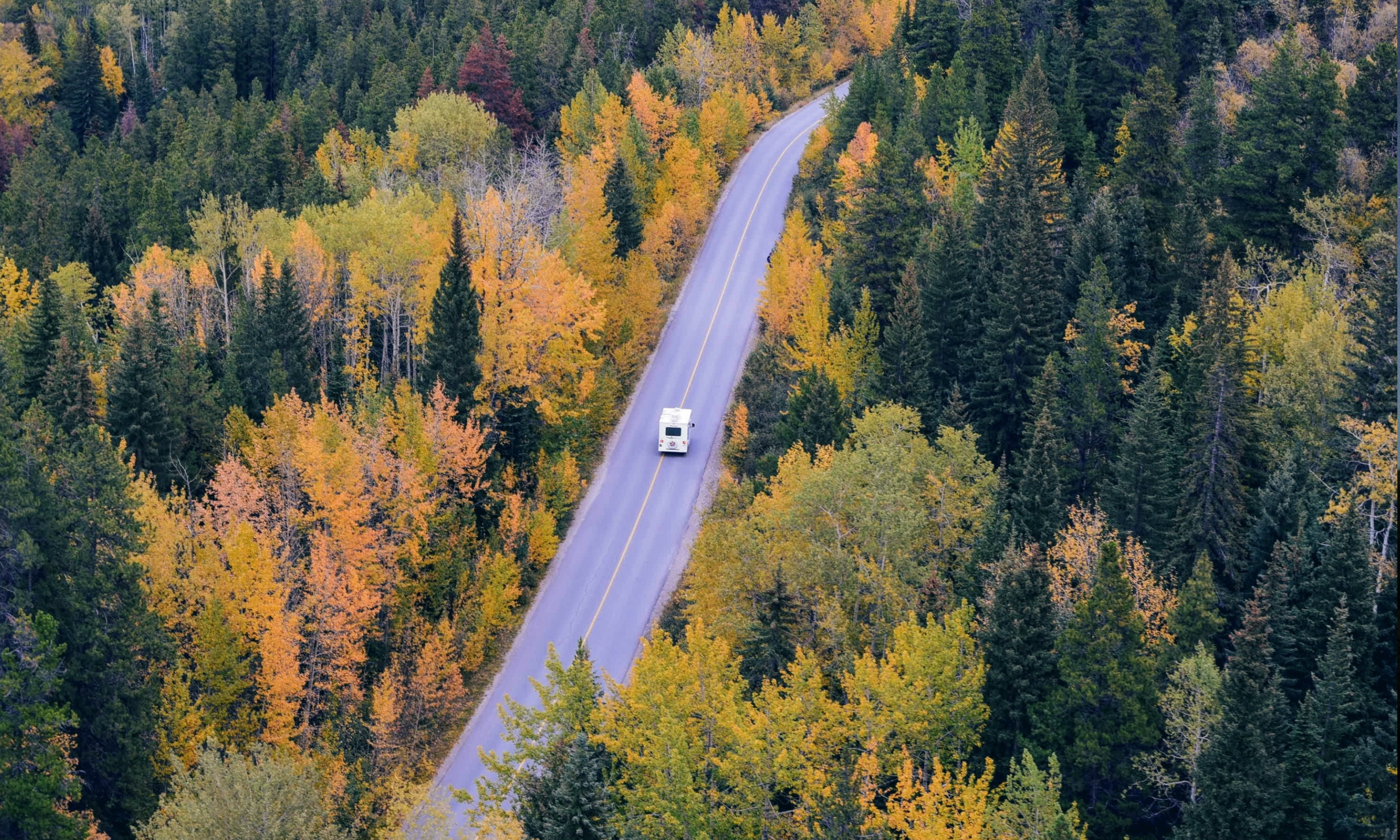 white van driving on road inbetween woods