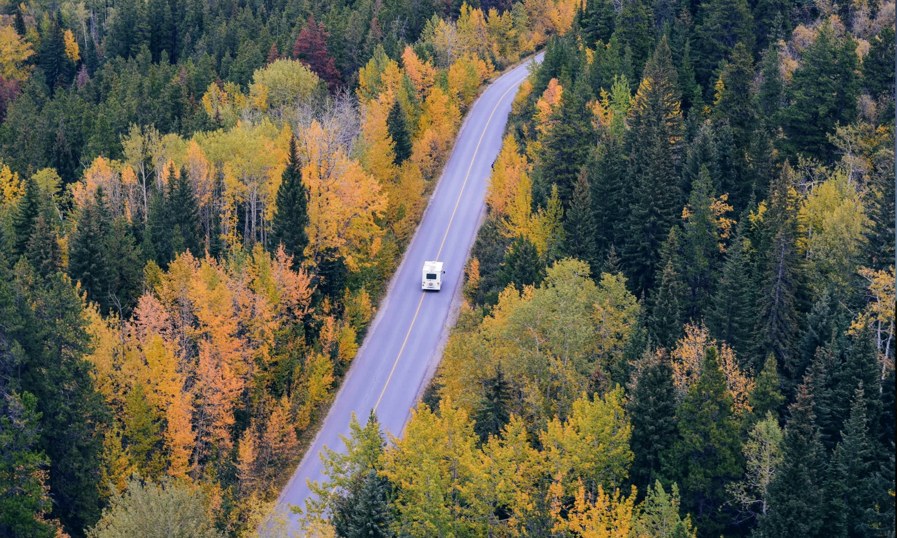 En vit lastbild kör i en väg genom skogen