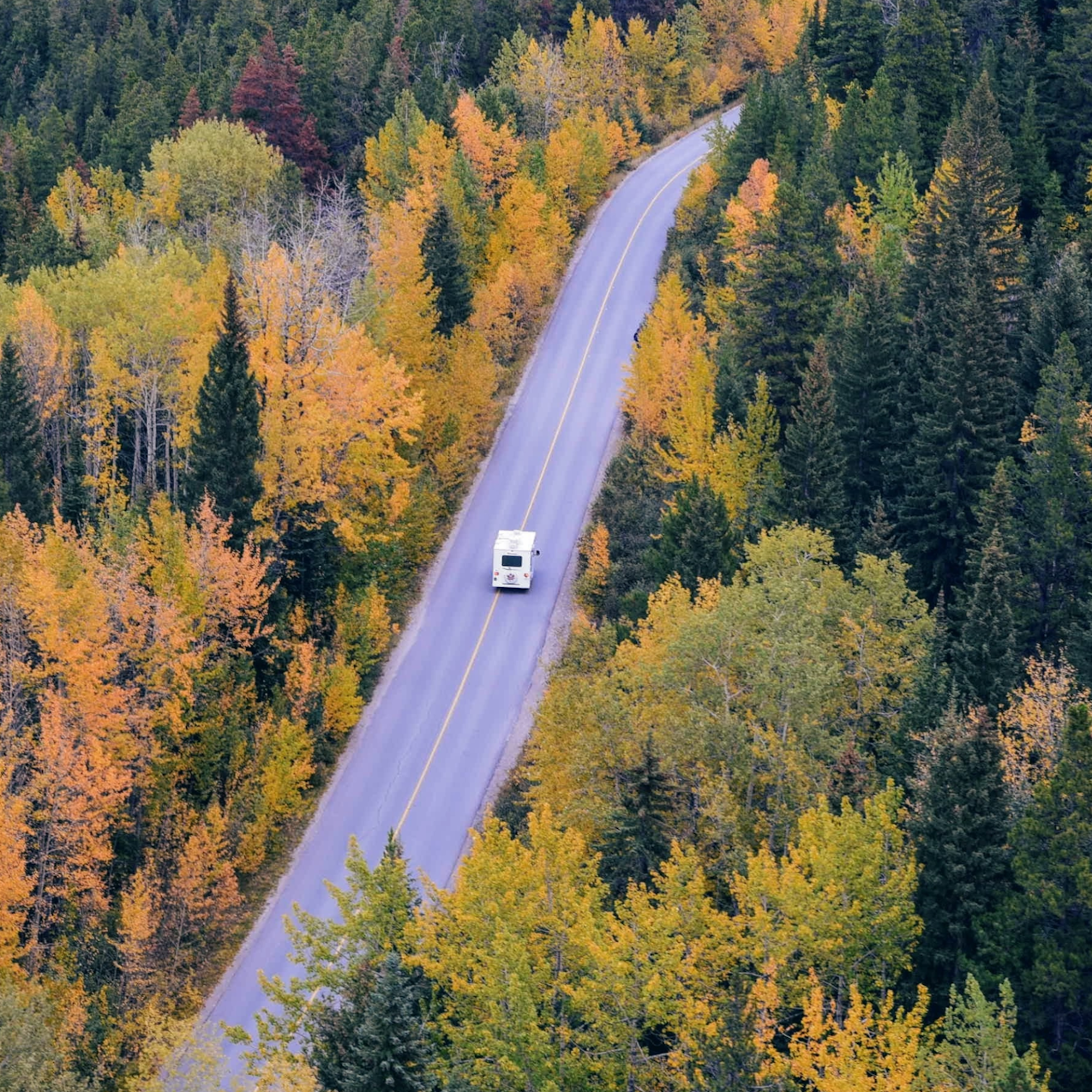 white van driving on road inbetween woods