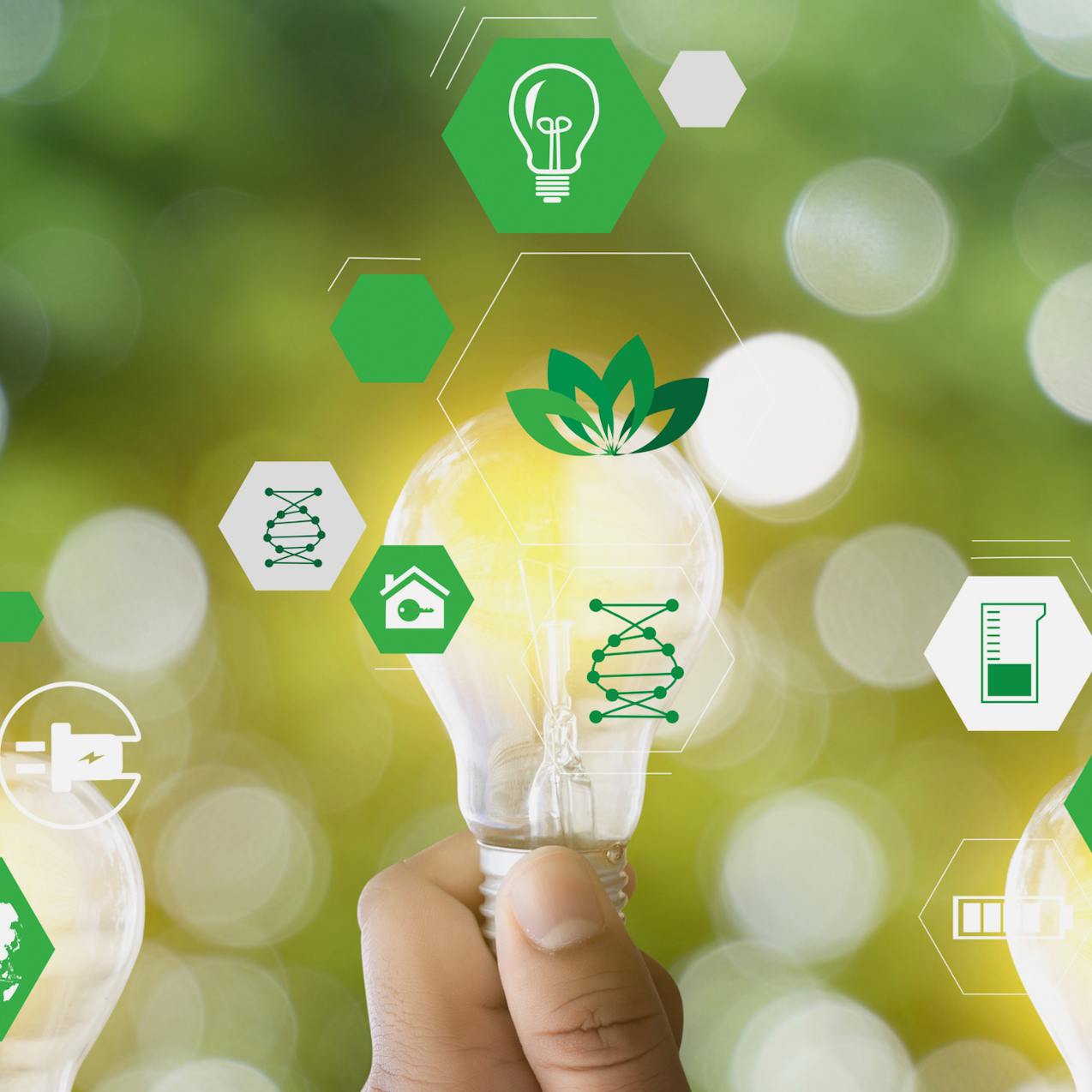 Infographics showing sustainability symbols on a green background
