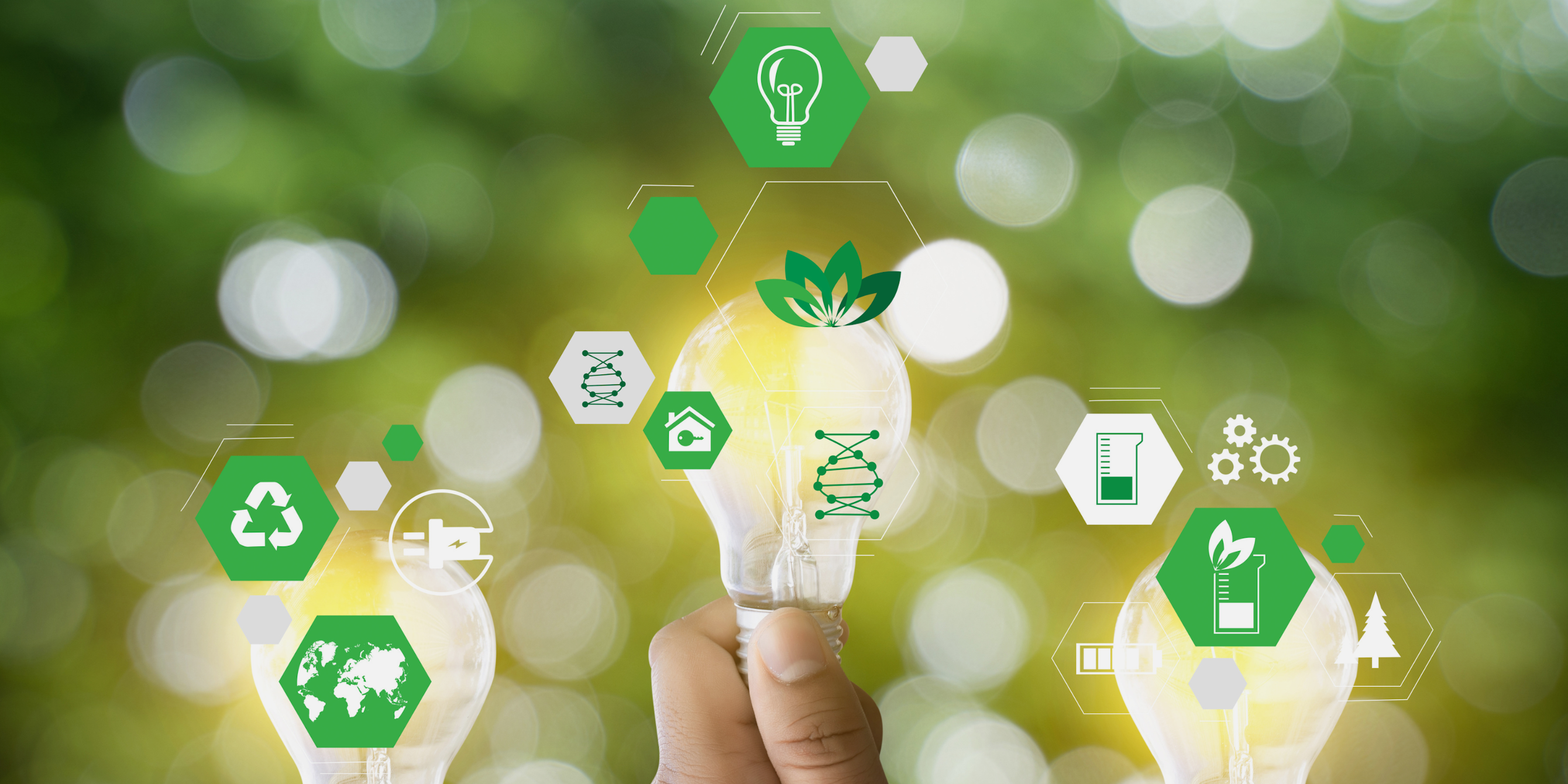 Infographics showing sustainability symbols on a green background