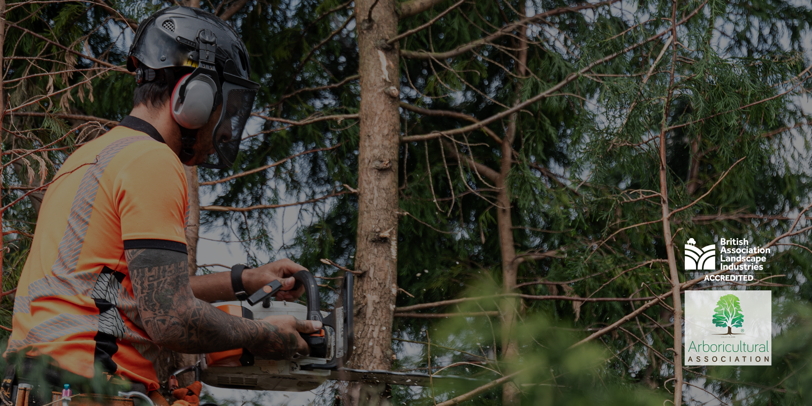 Man in orange high vis cutting tree with membership association logos