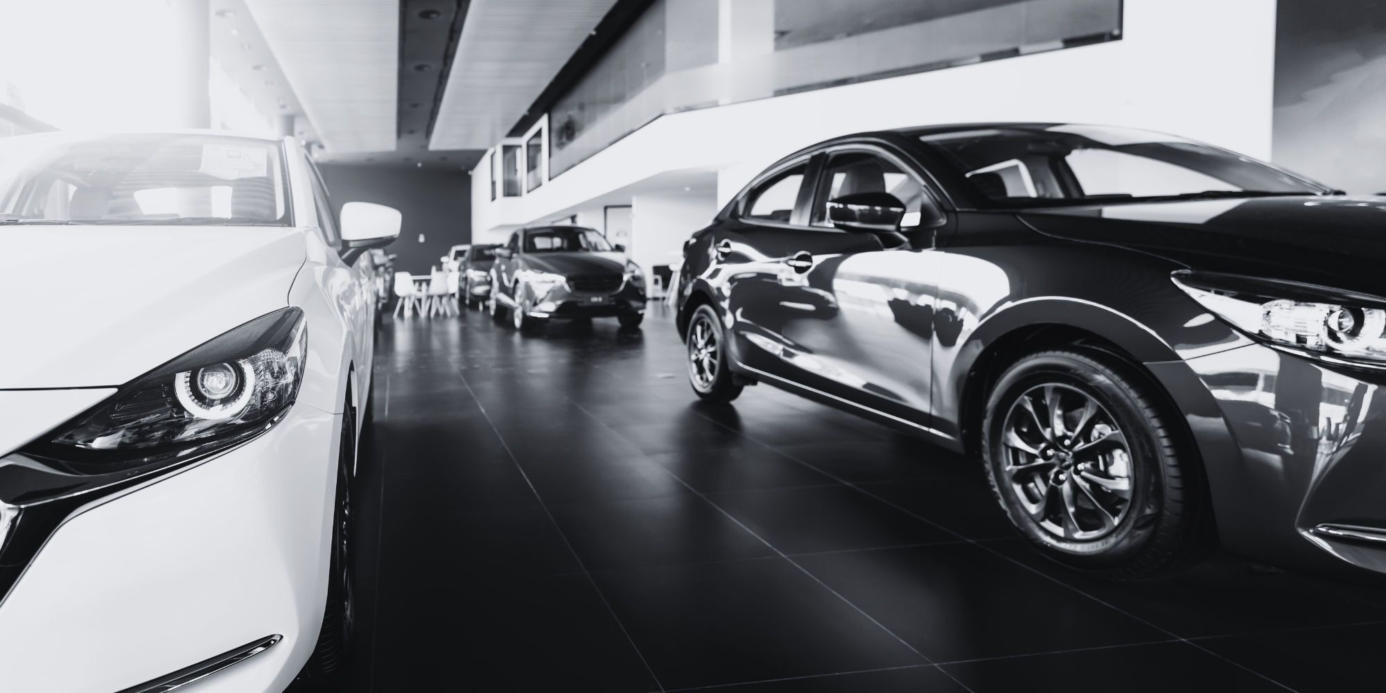 Black and white picture with company cars in a showroom