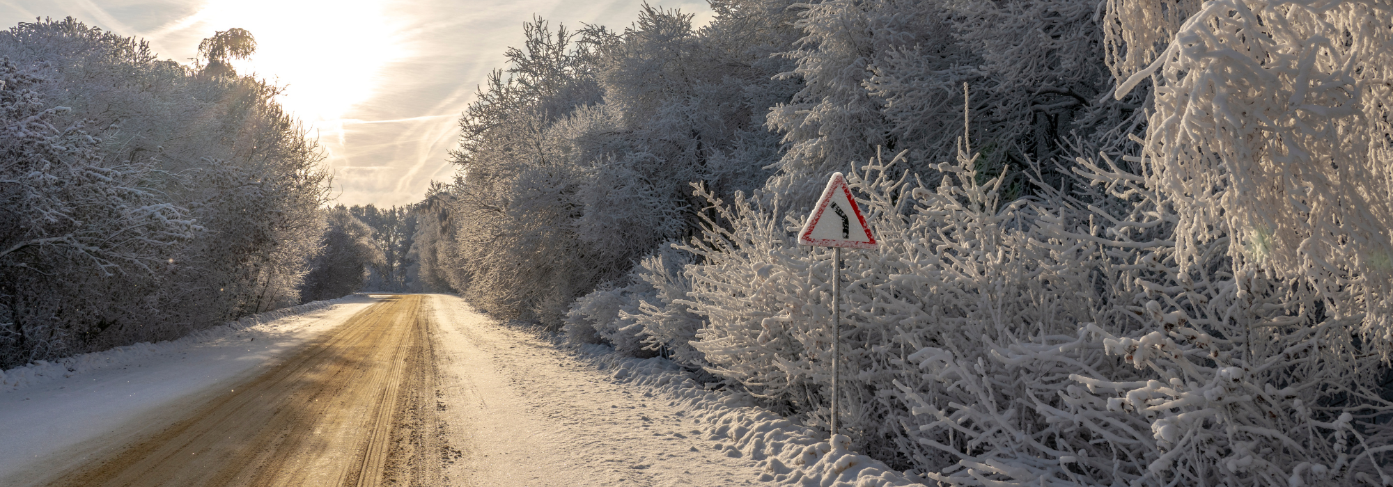Wintery scene with frosty trees and snowy road