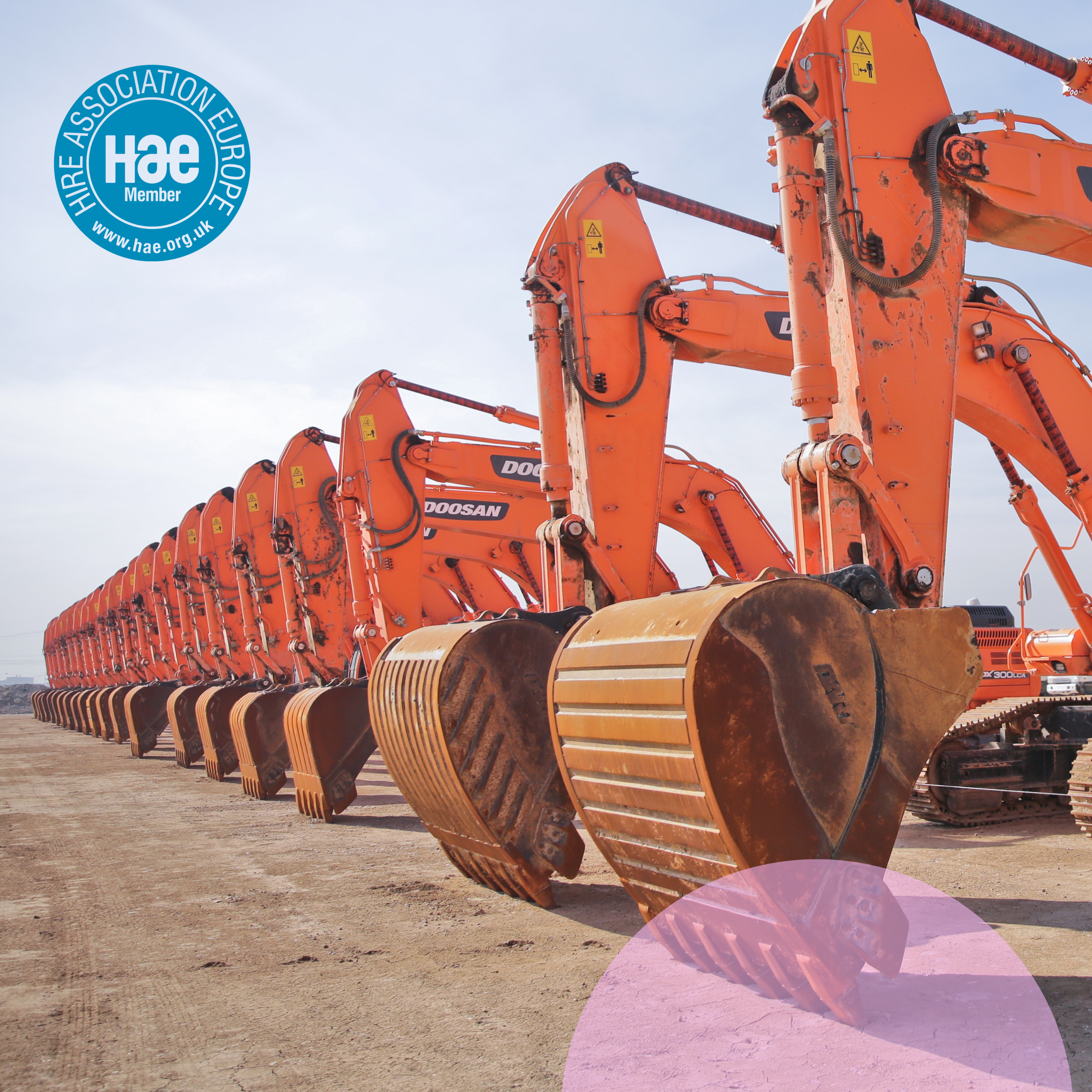 Orange excavators lined up in a row with HAE logo in corner