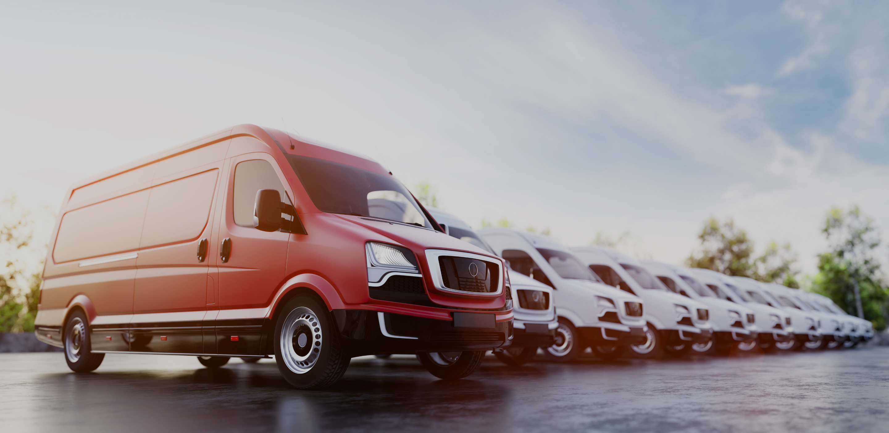 A line up of red and white vans